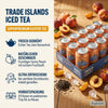Trade Islands Iced Tea Sunny Peach 24x0,33l Dose Steige